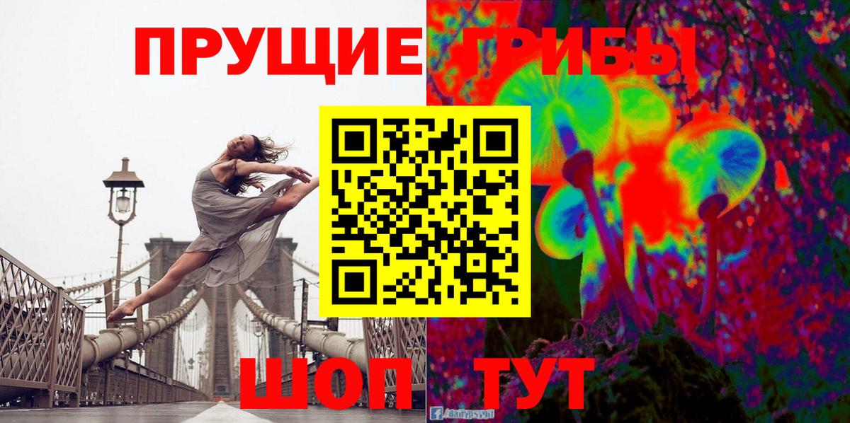 Галлюциногенные грибы Psilocybe  Галлюциногенные грибы Cubensis  Вход с VPN  Канаш 